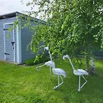 Letniskowe Gris *